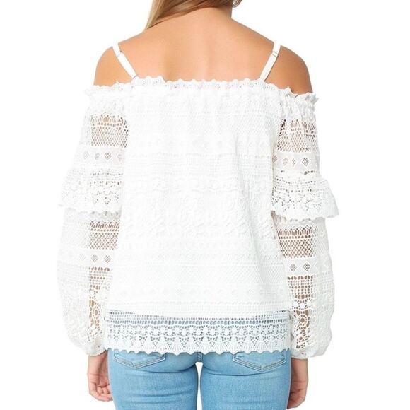 Parker Jordanna Crochet/Lace Sheer Ruffle Sleeve Romantic Blouse Size Medium - Picture 2 of 7